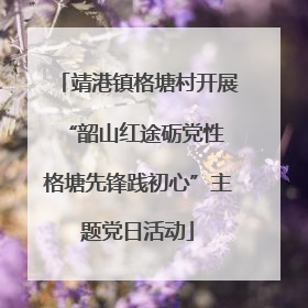 靖港镇格塘村开展“韶山红途砺党性 格塘先锋践初心”主题党日活动