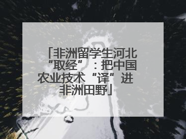 非洲留学生河北“取经”：把中国农业技术“译”进非洲田野