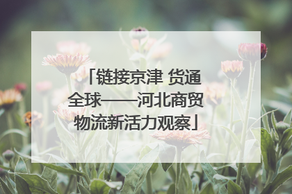 链接京津 货通全球——河北商贸物流新活力观察