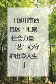 银川市西夏区：汇聚社会力量 “艺”心守护出彩人生