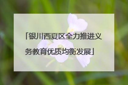 银川西夏区全力推进义务教育优质均衡发展