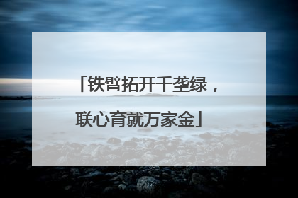 铁臂拓开千垄绿，联心育就万家金