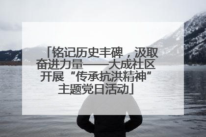 铭记历史丰碑，汲取奋进力量——大成社区开展“传承抗洪精神”主题党日活动