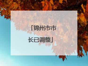 锦州市市长已调整