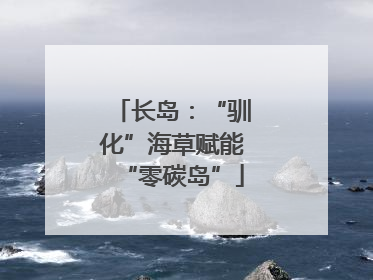 长岛：“驯化”海草赋能“零碳岛”