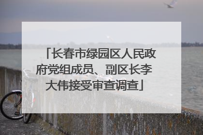 长春市绿园区人民政府党组成员、副区长李大伟接受审查调查