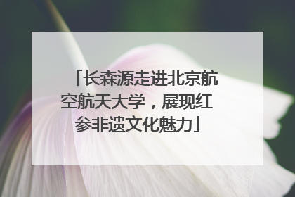 长森源走进北京航空航天大学，展现红参非遗文化魅力