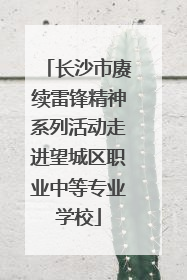 长沙市赓续雷锋精神系列活动走进望城区职业中等专业学校