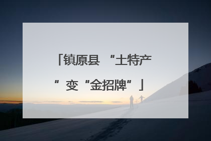 镇原县 “土特产”变“金招牌”