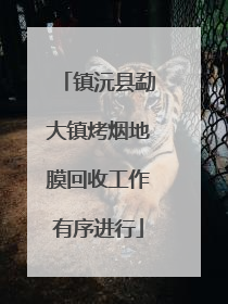 镇沅县勐大镇烤烟地膜回收工作有序进行