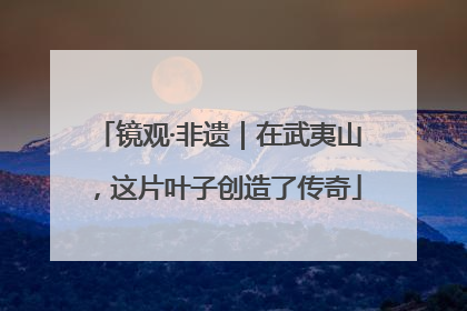 镜观·非遗｜在武夷山，这片叶子创造了传奇