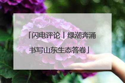 闪电评论丨绿潮奔涌 书写山东生态答卷