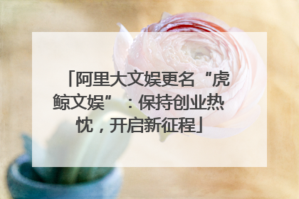 阿里大文娱更名“虎鲸文娱”：保持创业热忱，开启新征程