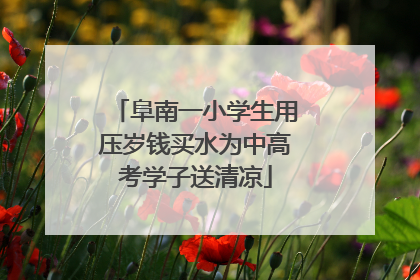 阜南一小学生用压岁钱买水为中高考学子送清凉