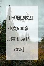 阜阳已收割小麦500多万亩 进度达70%