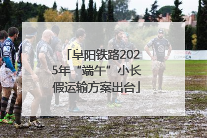 阜阳铁路2025年“端午”小长假运输方案出台