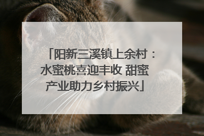 阳新三溪镇上余村：水蜜桃喜迎丰收 甜蜜产业助力乡村振兴