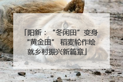 阳新：“冬闲田”变身“黄金田” 稻麦轮作绘就乡村振兴新篇章