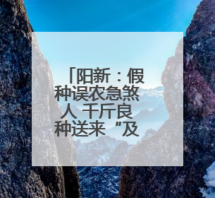 阳新：假种误农急煞人 千斤良种送来“及时雨”