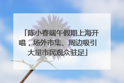 陈小春端午假期上海开唱，场外市集、周边吸引大量市民观众驻足