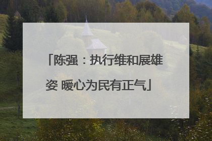 陈强：执行维和展雄姿 暖心为民有正气