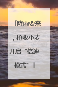 降雨要来，抢收小麦开启“倍速模式”