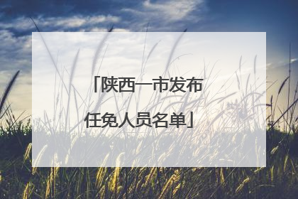 陕西一市发布任免人员名单