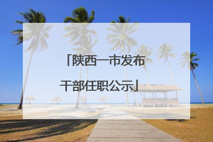 陕西一市发布干部任职公示