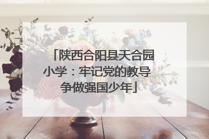 陕西合阳县天合园小学：牢记党的教导 争做强国少年