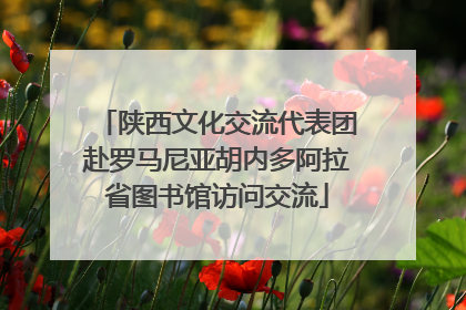 陕西文化交流代表团赴罗马尼亚胡内多阿拉省图书馆访问交流