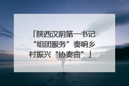 陕西汉阴第一书记“组团服务”奏响乡村振兴“协奏曲”