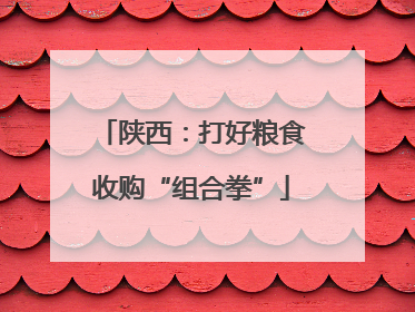 陕西：打好粮食收购“组合拳”