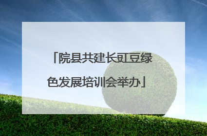 院县共建长豇豆绿色发展培训会举办