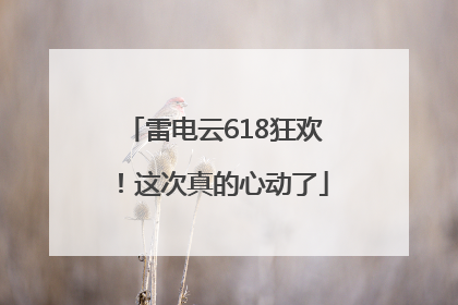 雷电云618狂欢！这次真的心动了