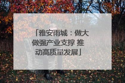 雅安雨城：做大做强产业支撑 推动高质量发展