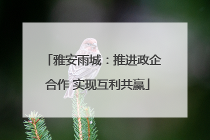 雅安雨城：推进政企合作 实现互利共赢