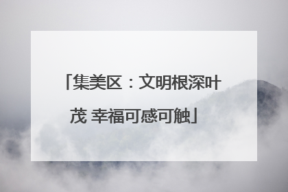 集美区：文明根深叶茂 幸福可感可触