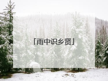 雨中识乡贤