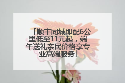 顺丰同城即配6公里低至11元起，端午送礼亲民价格享专业高端服务