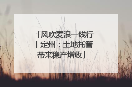 风吹麦浪一线行丨定州：土地托管带来稳产增收