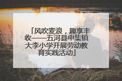 风吹麦浪，趣享丰收——五河县申集镇大李小学开展劳动教育实践活动
