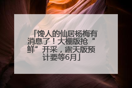馋人的仙居杨梅有消息了！大棚版抢“鲜”开采，露天版预计要等6月