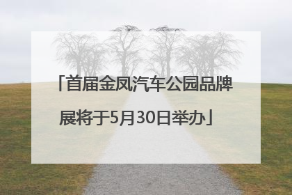 首届金凤汽车公园品牌展将于5月30日举办