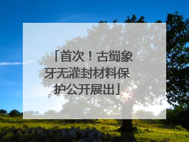 首次！古蜀象牙无灌封材料保护公开展出