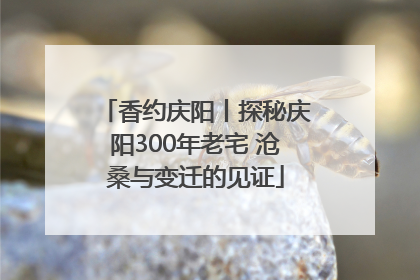 香约庆阳丨探秘庆阳300年老宅 沧桑与变迁的见证