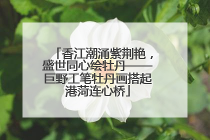 香江潮涌紫荆艳，盛世同心绘牡丹——巨野工笔牡丹画搭起港菏连心桥