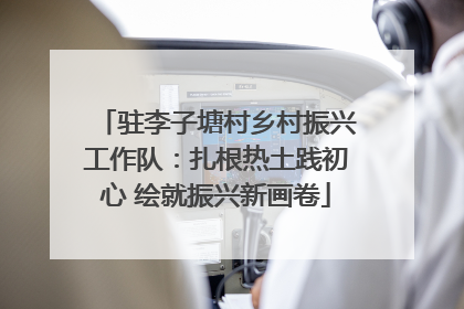 驻李子塘村乡村振兴工作队：扎根热土践初心 绘就振兴新画卷