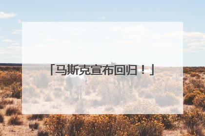 马斯克宣布回归！