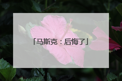 马斯克：后悔了