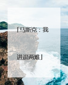 马斯克：我进退两难